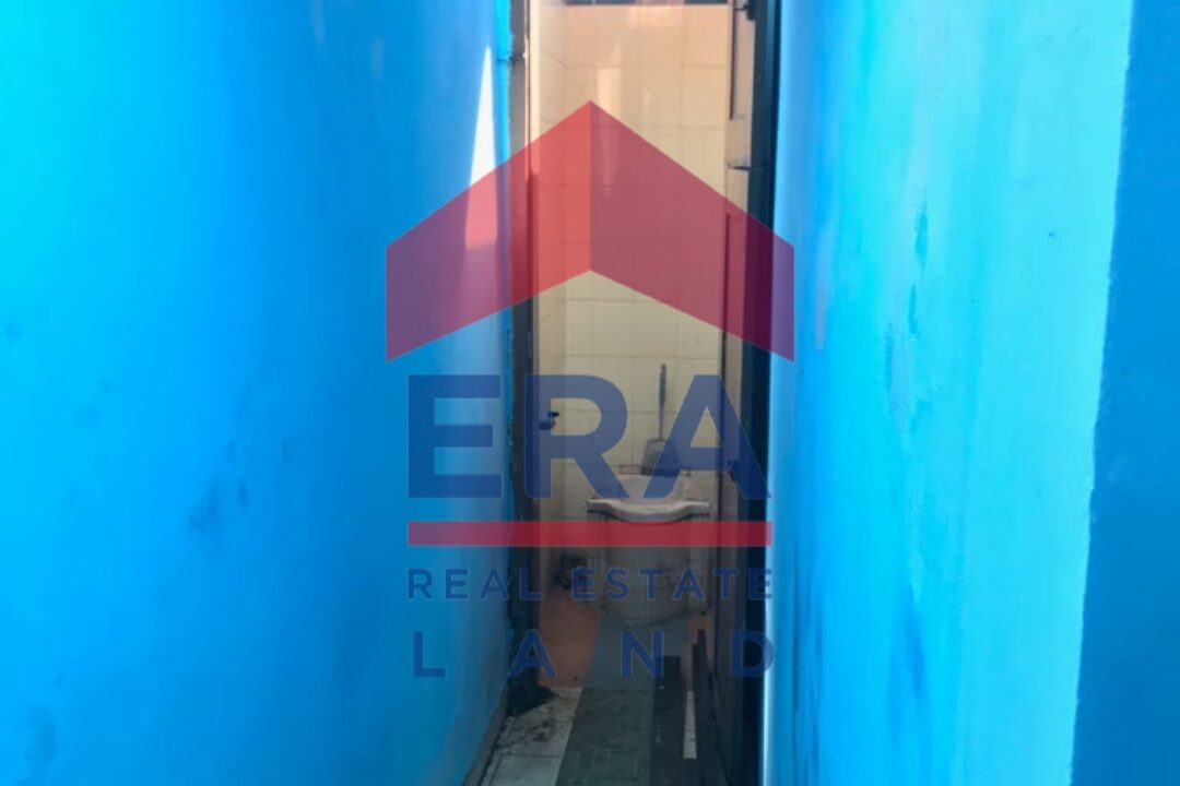 Picsart_22-02-15_16-46-28-656