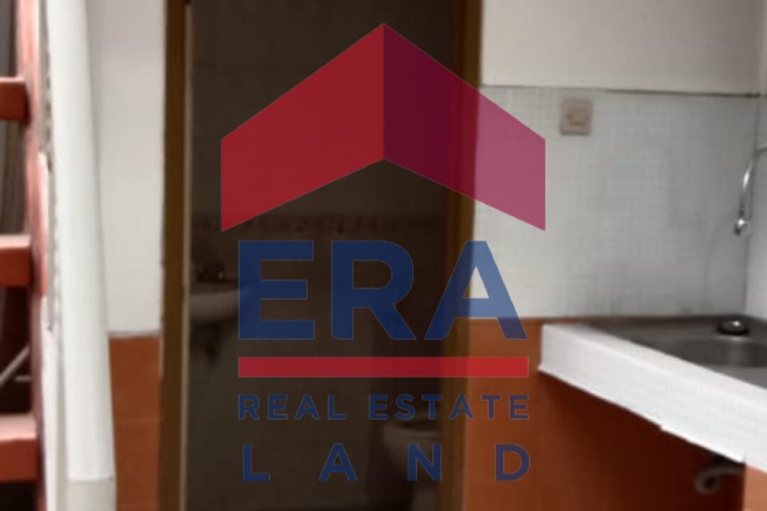 Picsart_22-02-23_13-41-26-023