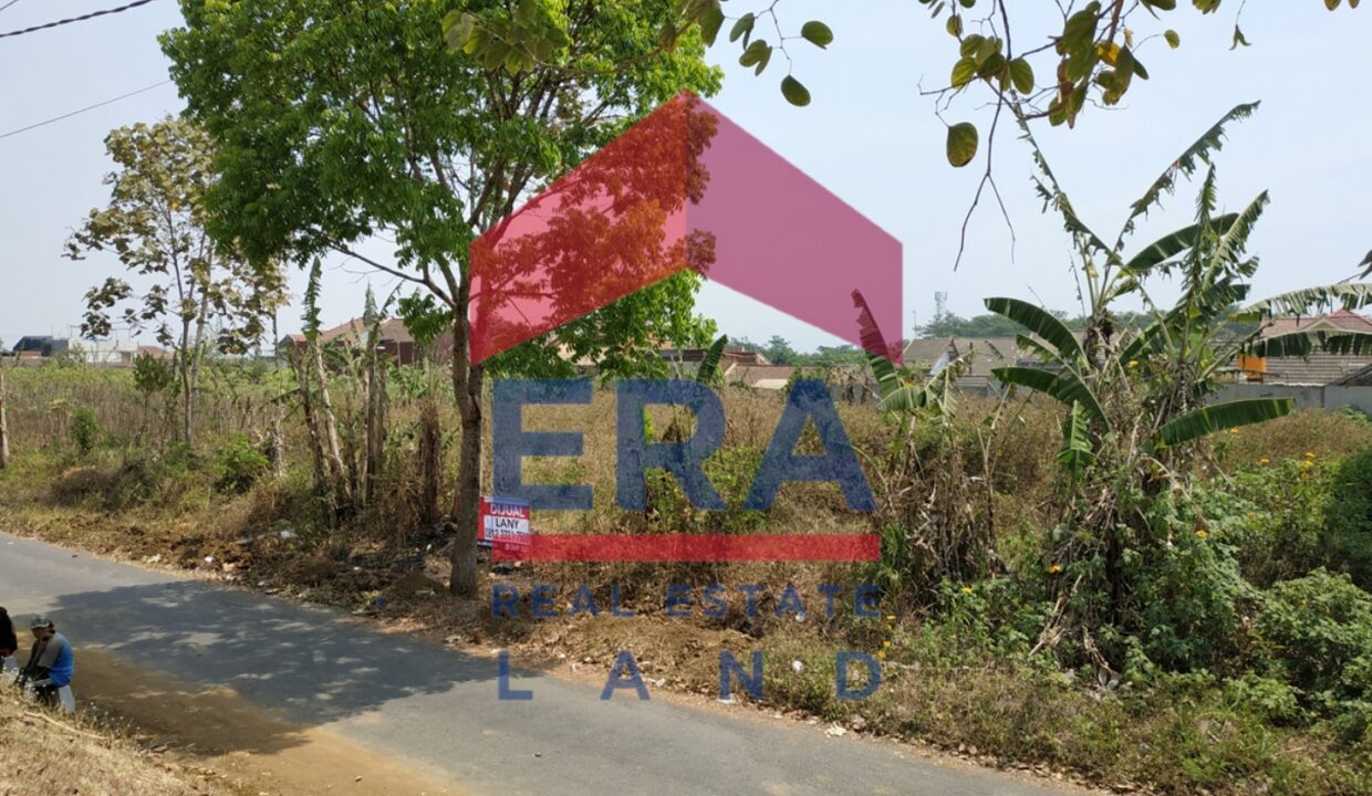 Picsart_22-03-05_10-23-36-193