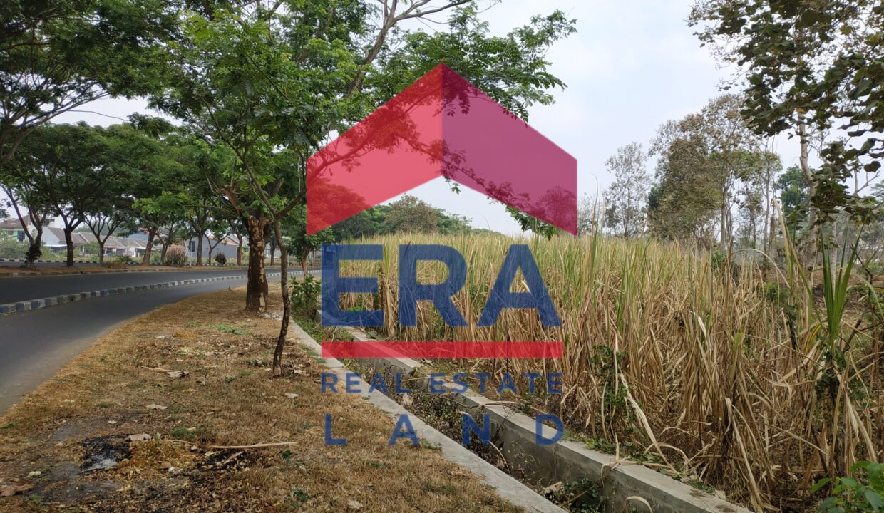 Picsart_22-03-05_10-24-29-210