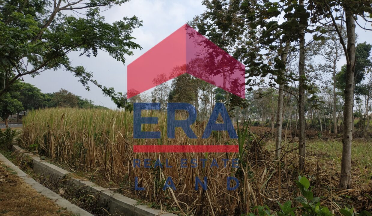 Picsart_22-03-05_10-24-48-962