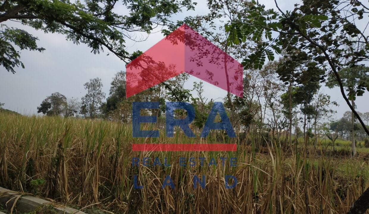 Picsart_22-03-05_10-25-06-921