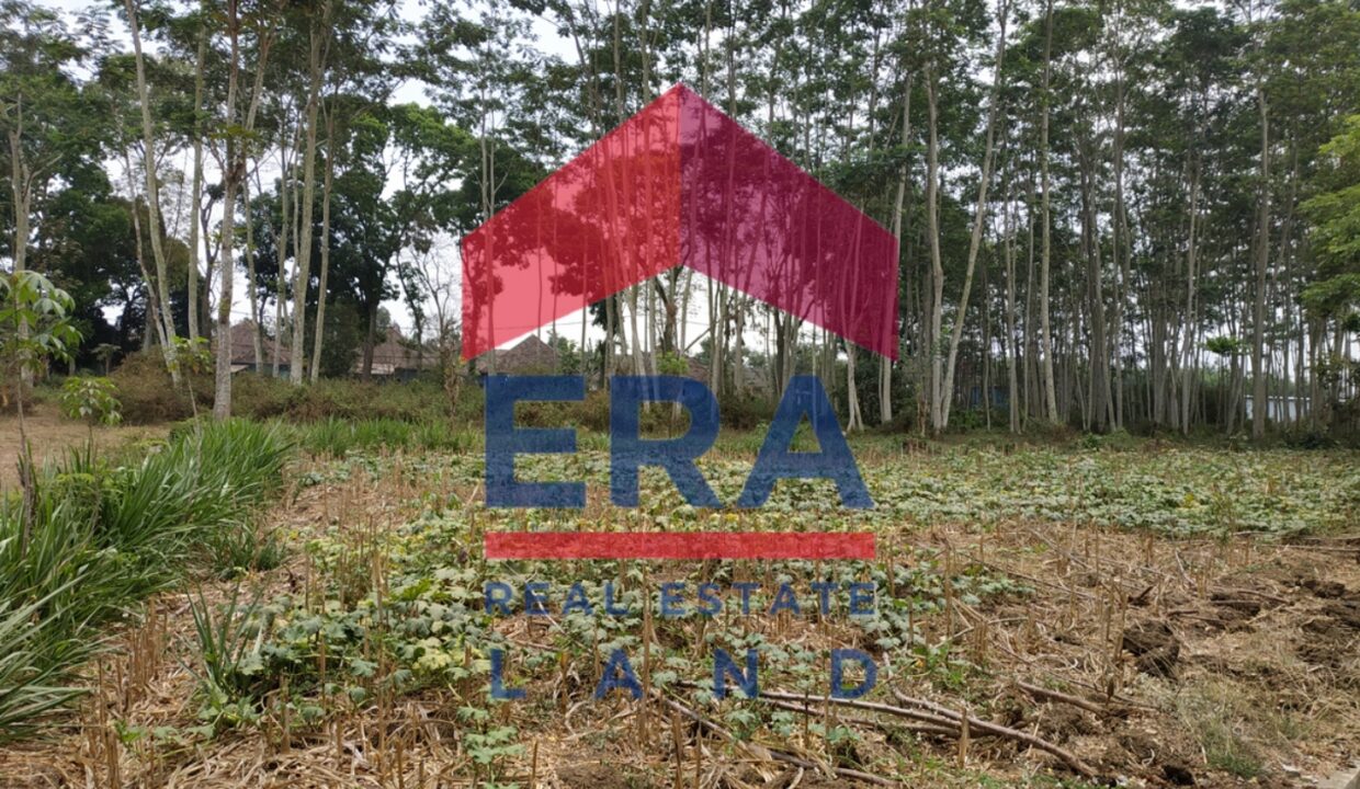 Picsart_22-03-05_10-25-34-382