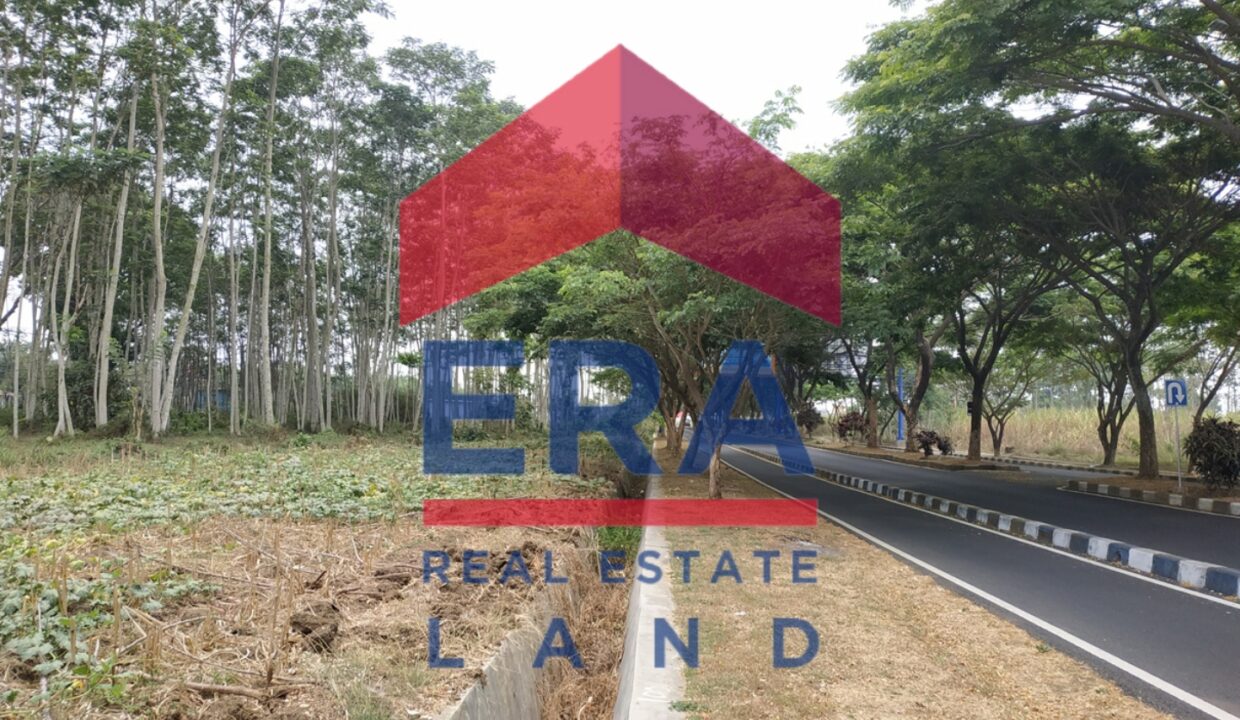 Picsart_22-03-05_10-25-59-685