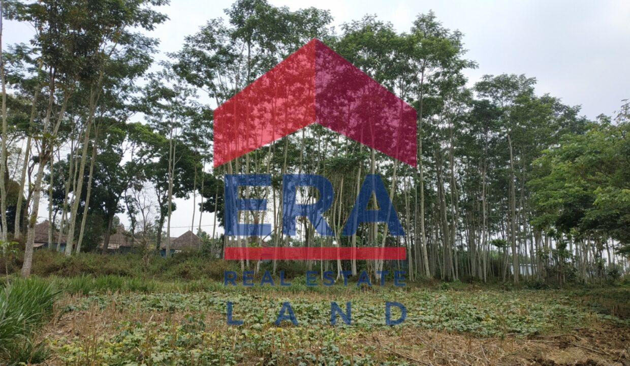 Picsart_22-03-05_10-26-17-857