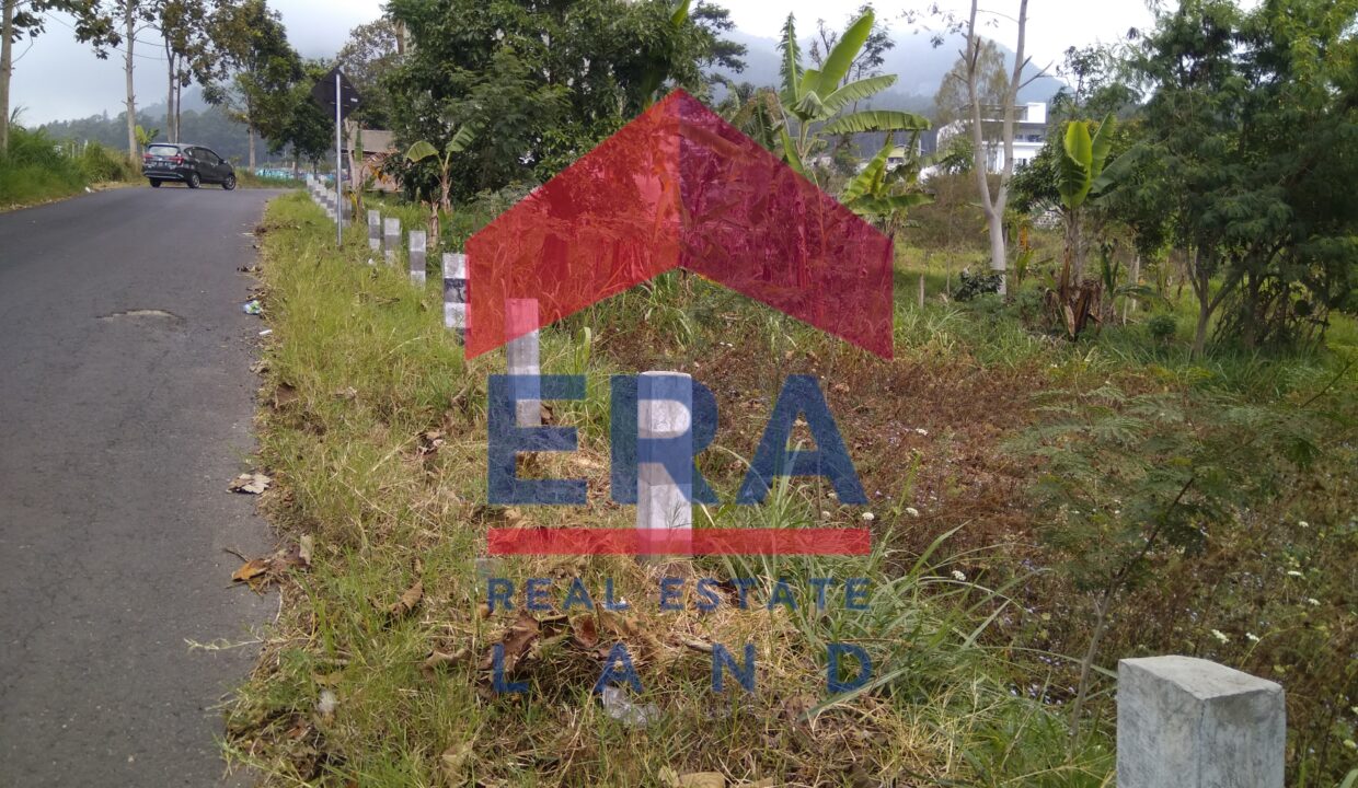 Picsart_22-03-05_10-27-06-841