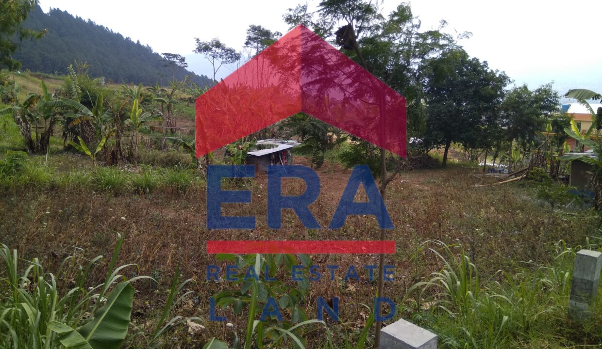 Picsart_22-03-05_10-27-26-031