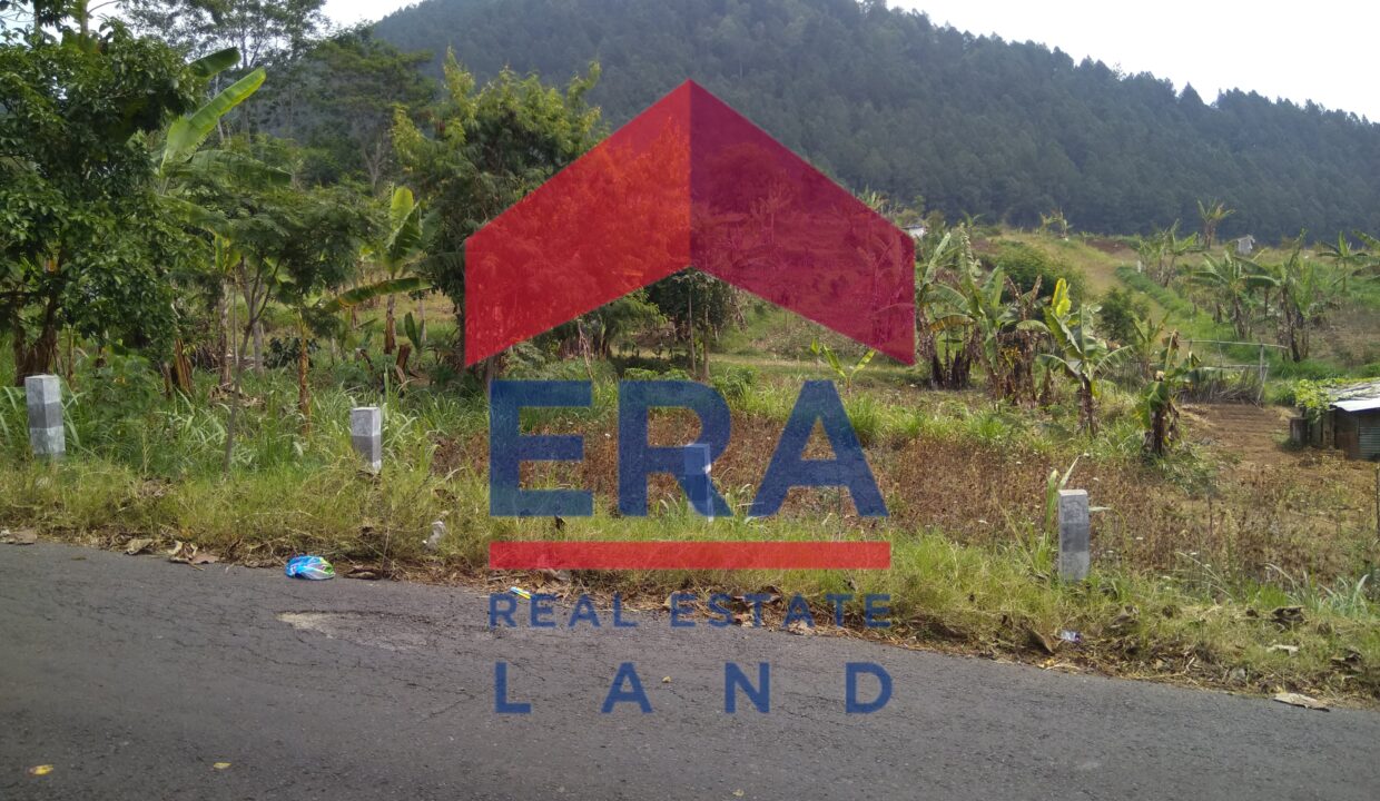 Picsart_22-03-05_10-27-44-934