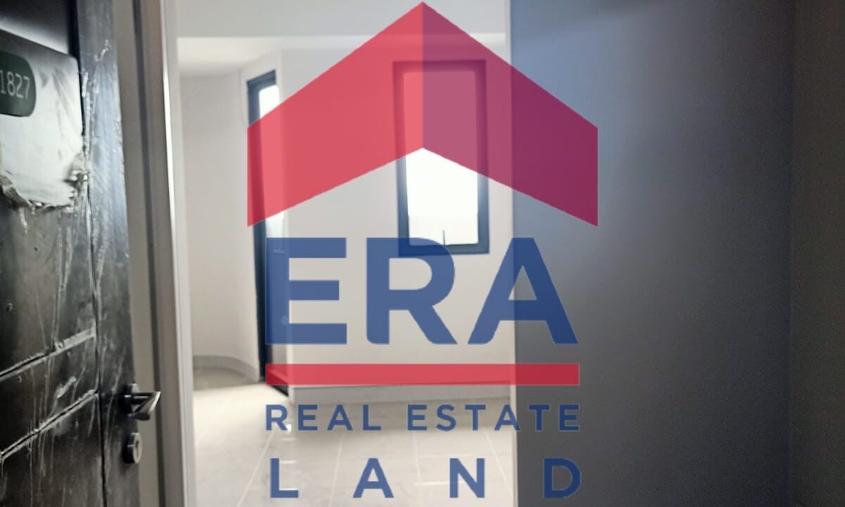 WhatsApp Image 2022-02-15 at 16.12.03 (1)