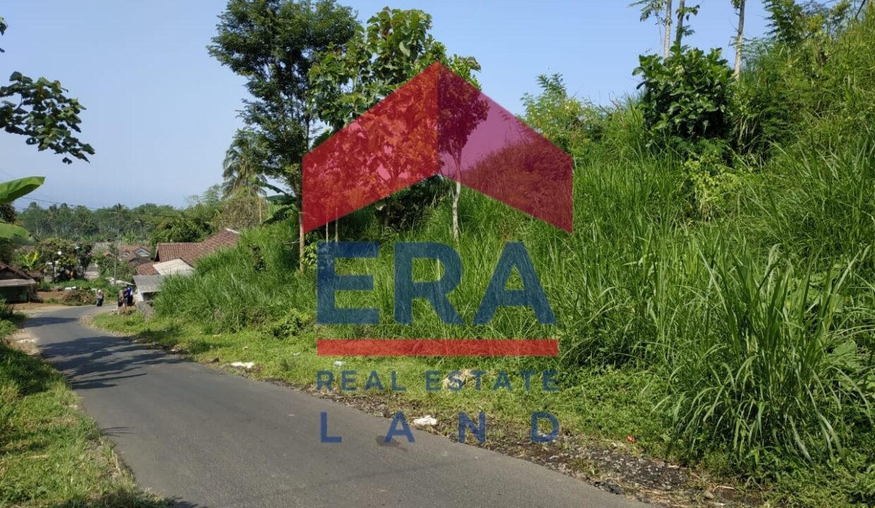 WhatsApp Image 2022-02-16 at 20.03.57