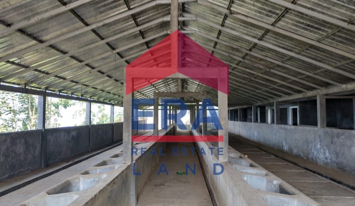 WhatsApp Image 2022-02-16 at 20.03.58 (1)