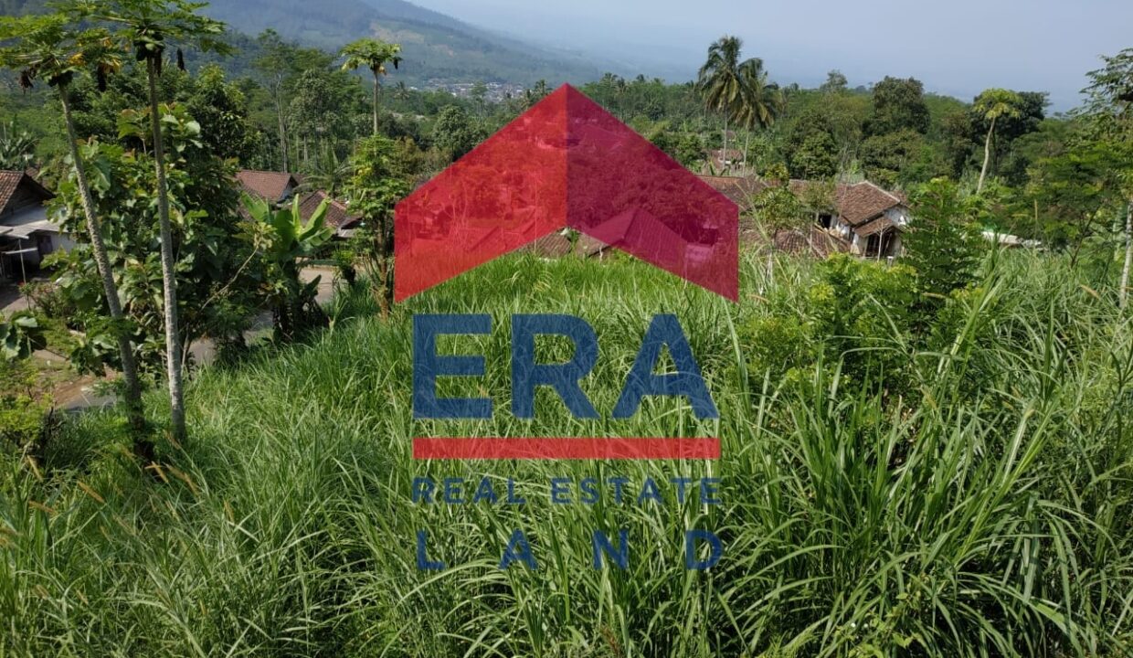 WhatsApp Image 2022-02-16 at 20.03.58