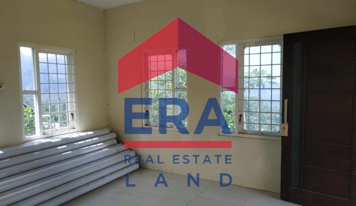 WhatsApp Image 2022-02-16 at 20.03.59 (1)