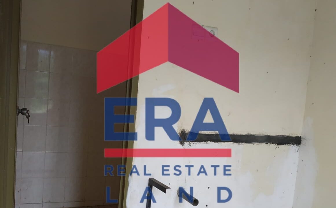 WhatsApp Image 2022-02-16 at 20.03.59