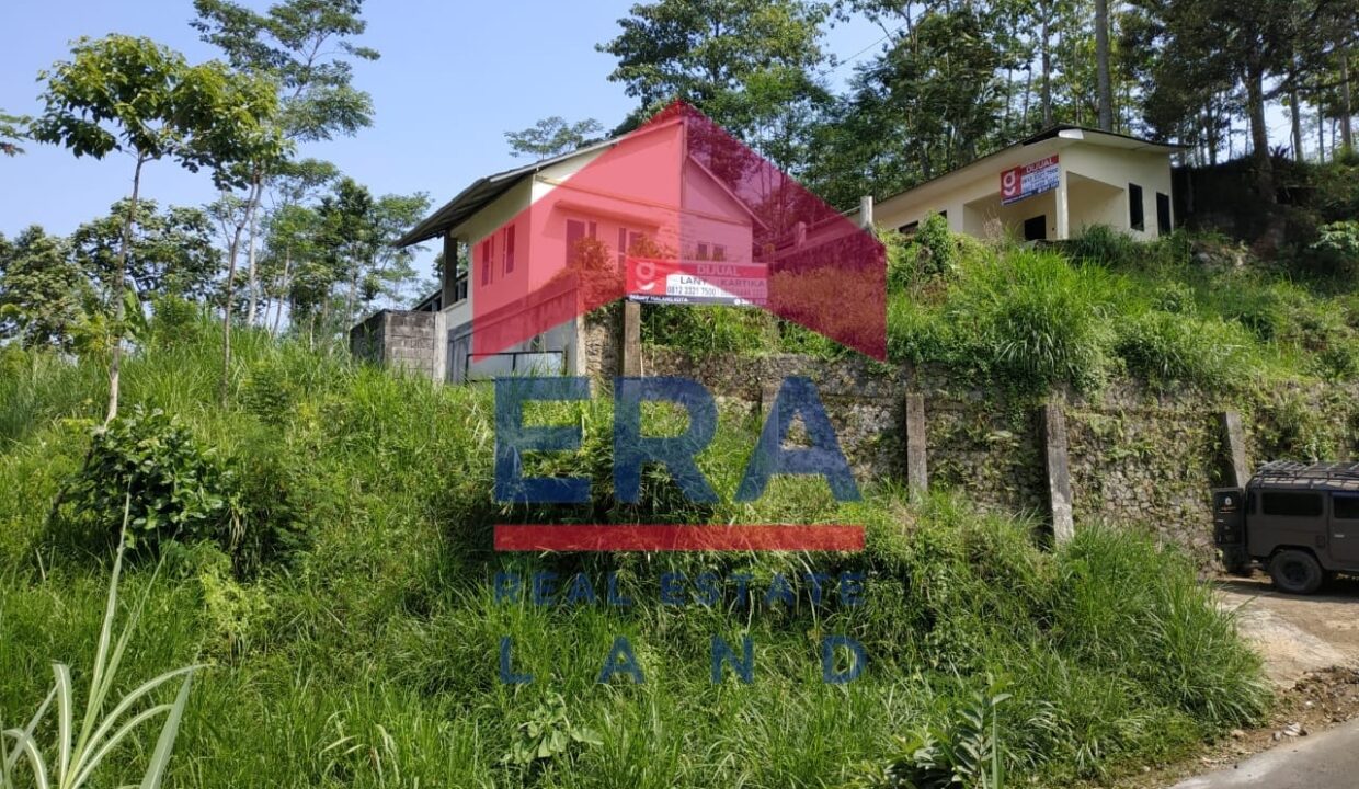 WhatsApp Image 2022-02-16 at 20.04.00