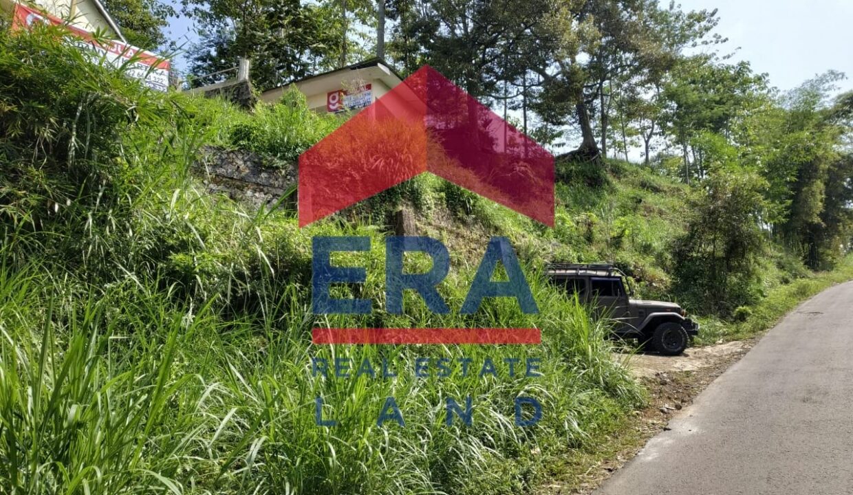 WhatsApp Image 2022-02-16 at 20.04.01