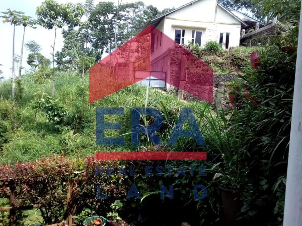 WhatsApp Image 2022-02-16 at 20.04.02