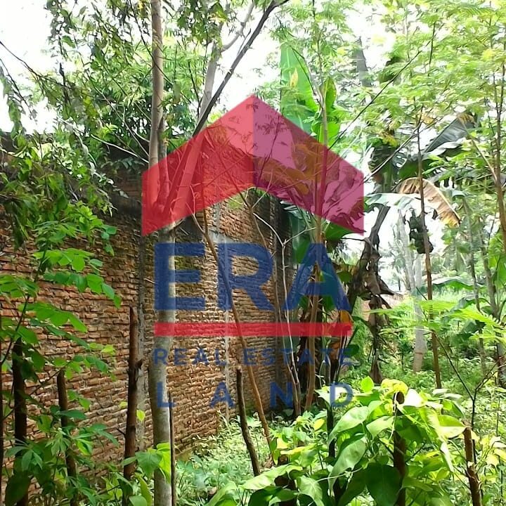 WhatsApp Image 2022-02-16 at 20.34.58