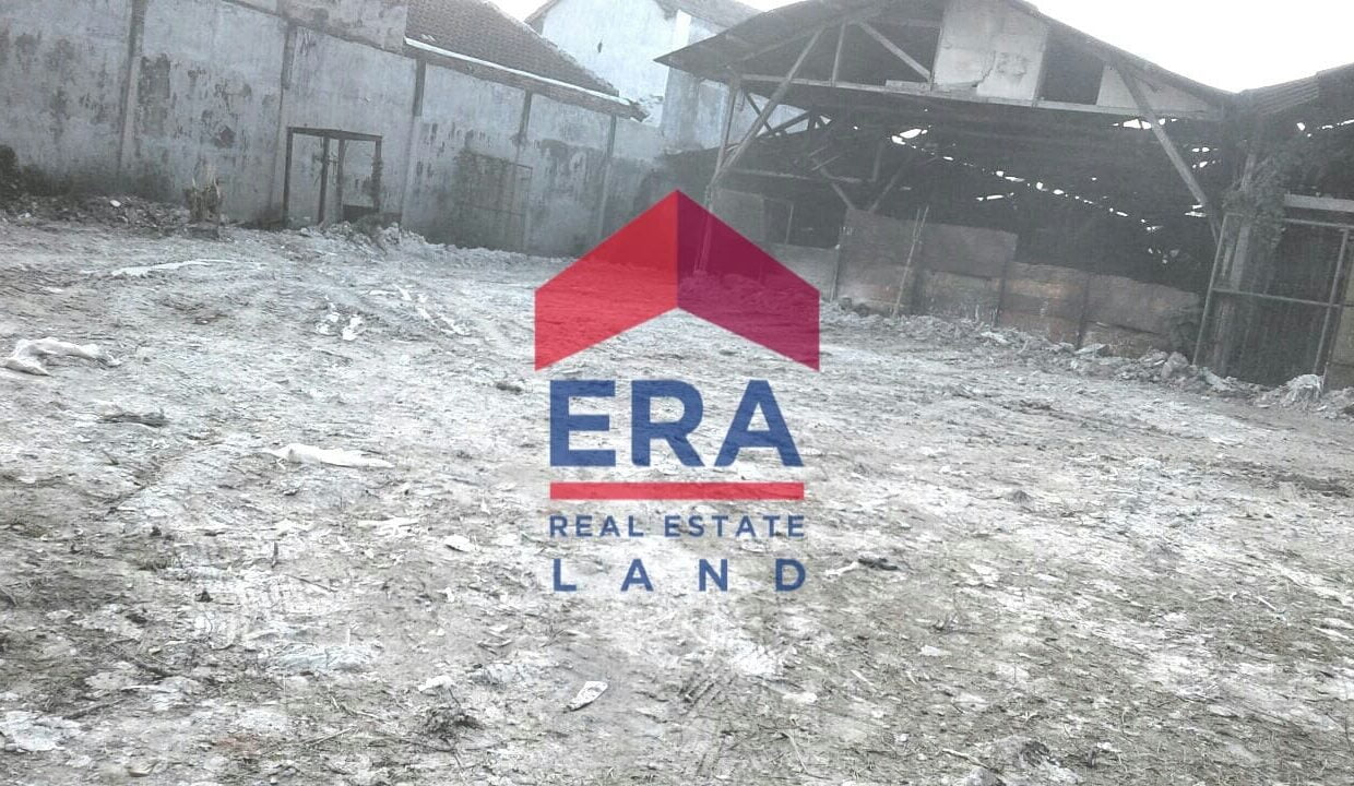 WhatsApp Image 2022-02-16 at 20.34.59 (1)