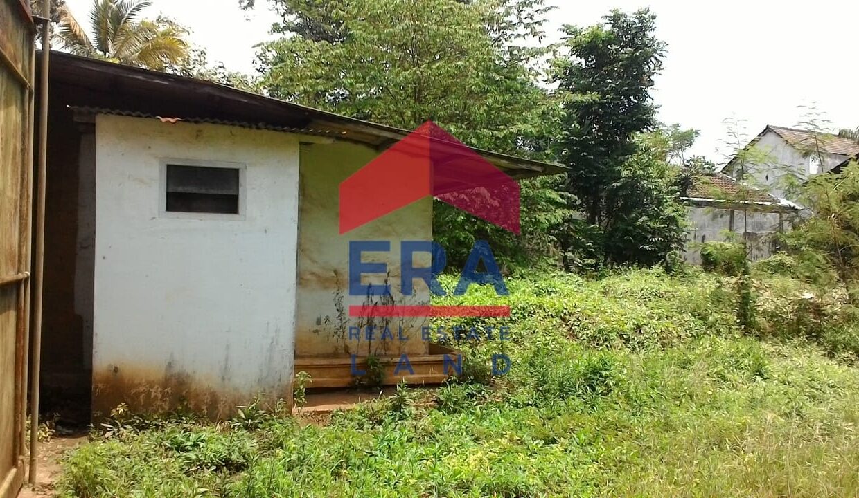 WhatsApp Image 2022-02-16 at 20.34.59