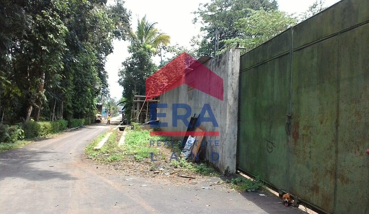 WhatsApp Image 2022-02-16 at 20.35.00 (1)