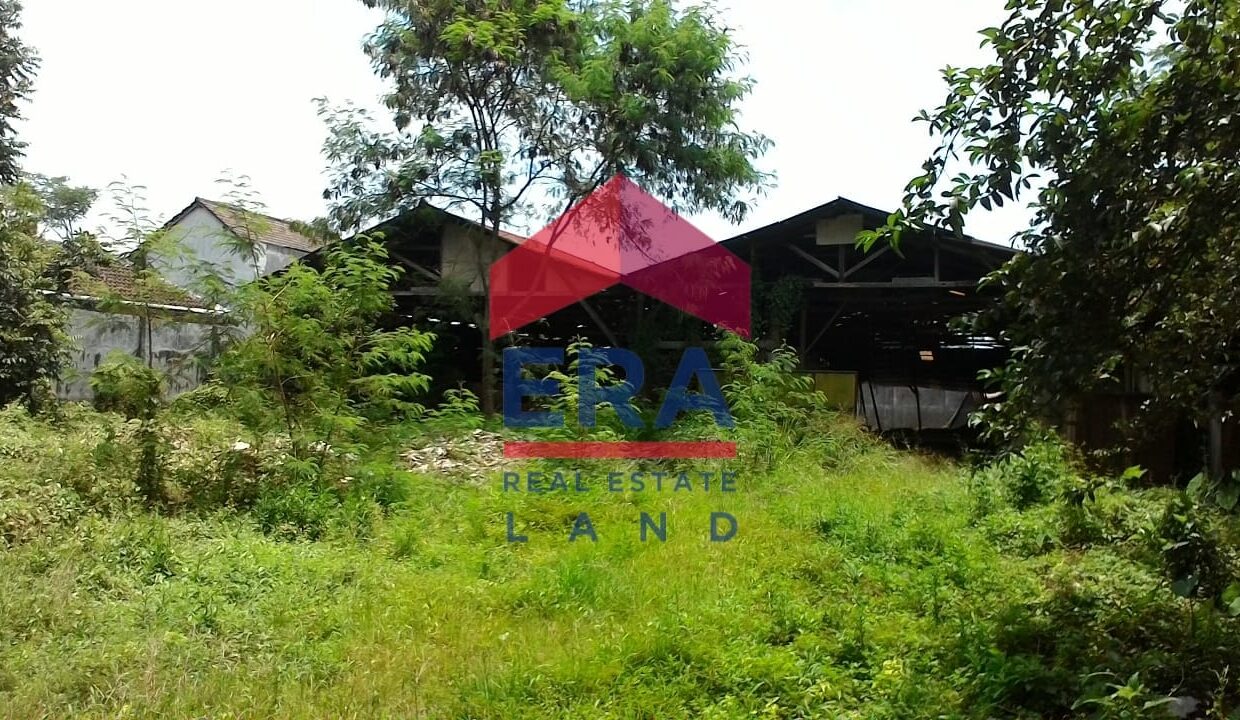 WhatsApp Image 2022-02-16 at 20.35.00