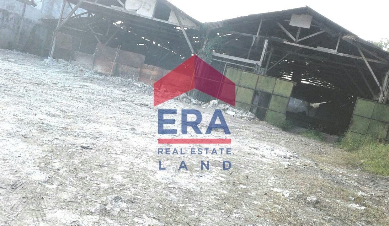 WhatsApp Image 2022-02-16 at 20.35.01 (1)