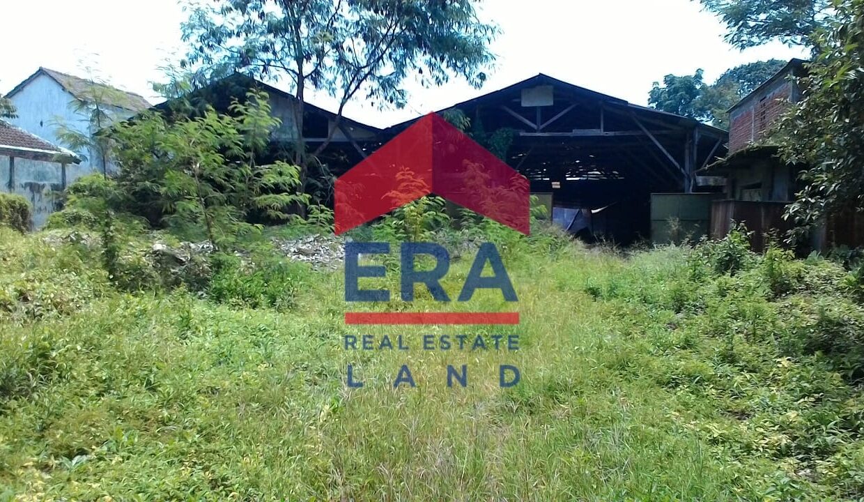 WhatsApp Image 2022-02-16 at 20.35.01