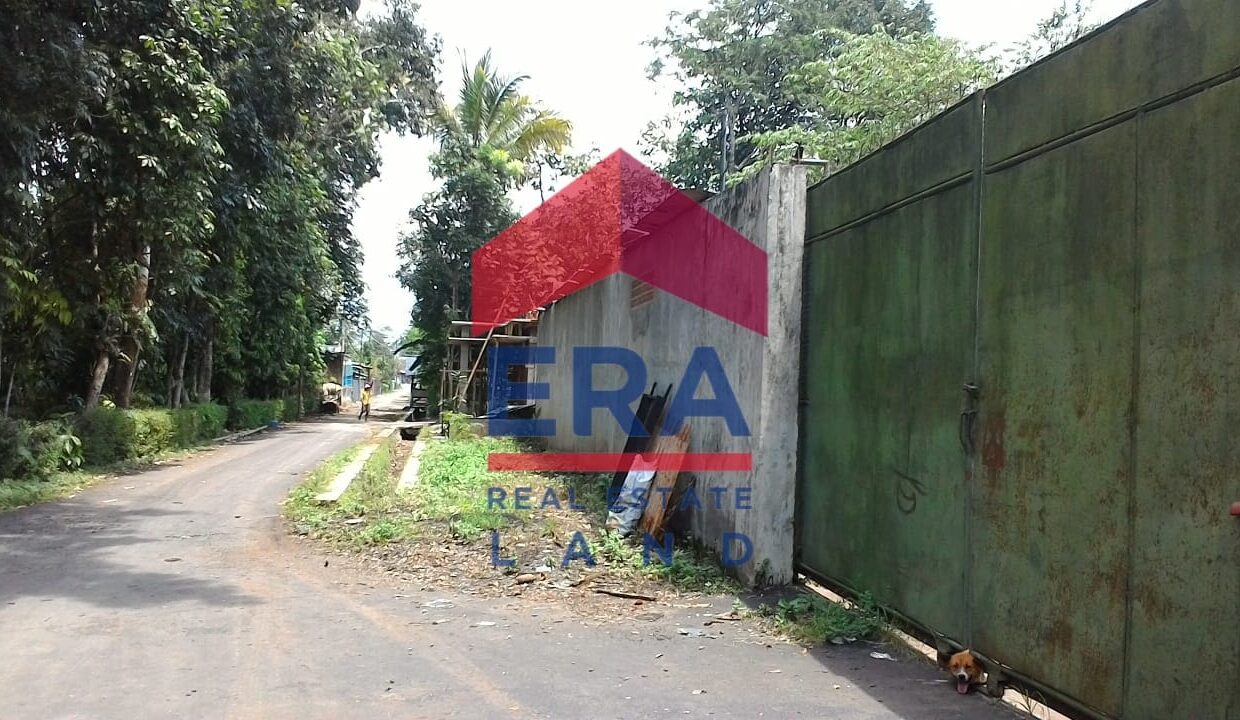 WhatsApp Image 2022-02-16 at 20.35.02