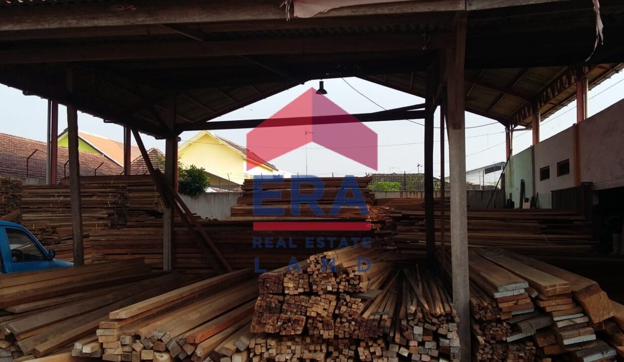 WhatsApp Image 2022-02-17 at 06.59.37 (1)