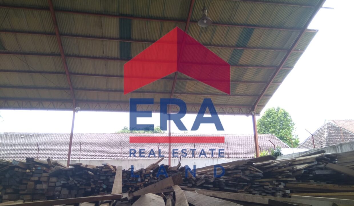 WhatsApp Image 2022-02-17 at 06.59.38 (1)