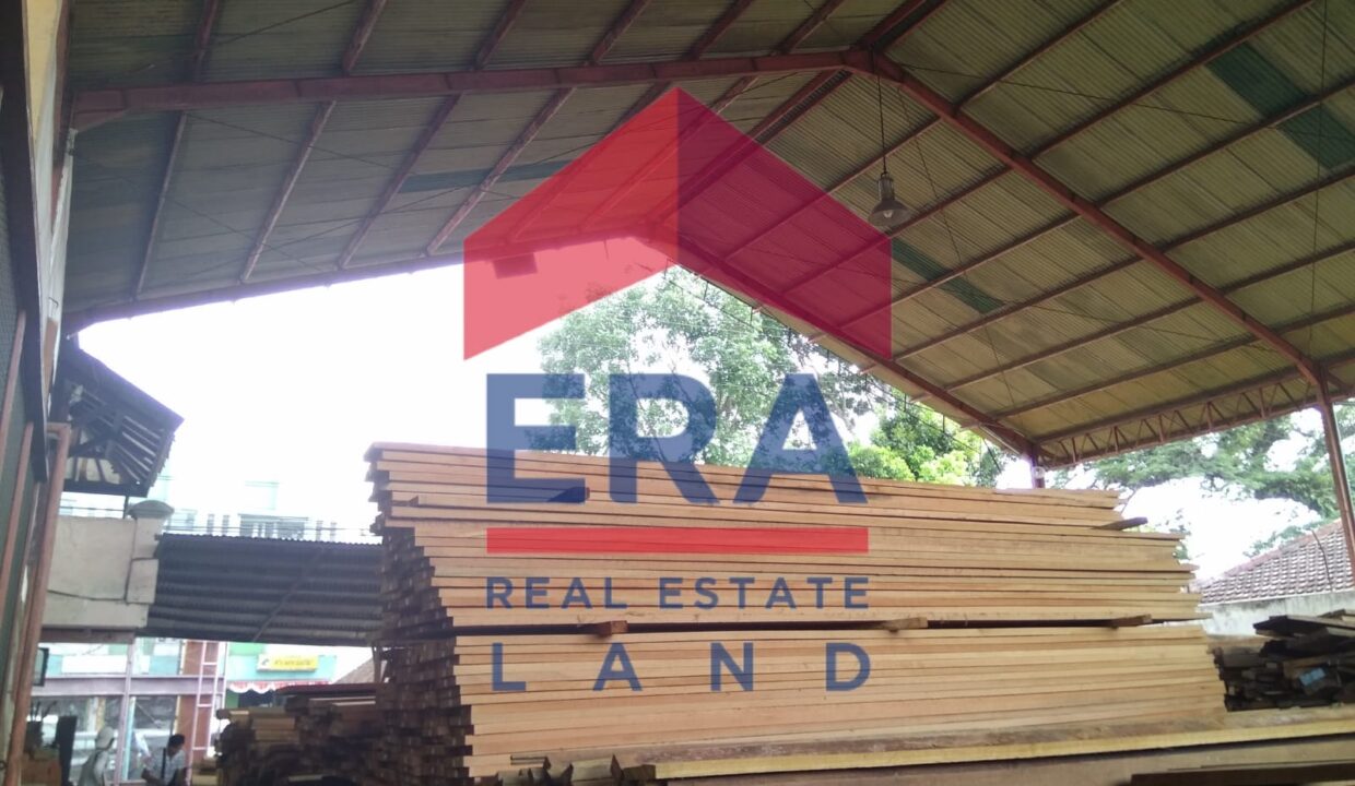 WhatsApp Image 2022-02-17 at 06.59.38