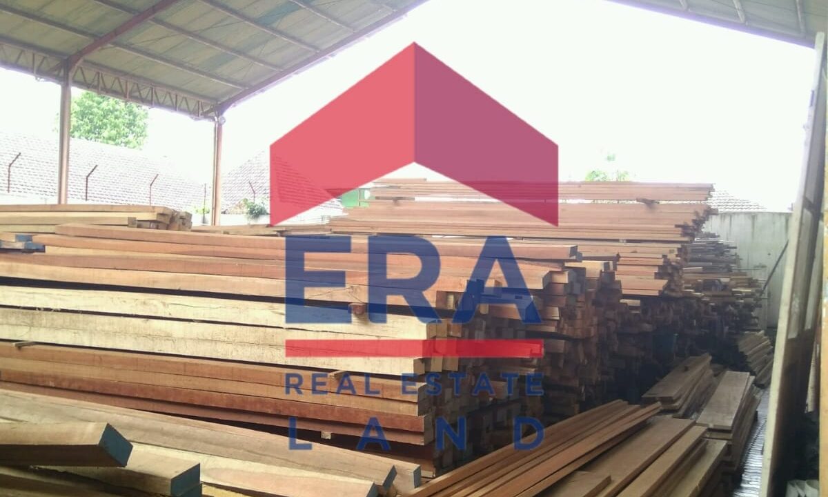 WhatsApp Image 2022-02-17 at 06.59.39