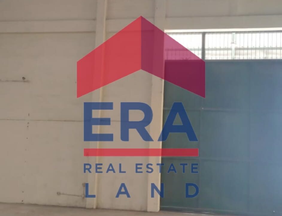 WhatsApp Image 2022-02-22 at 18.43.11 (2)