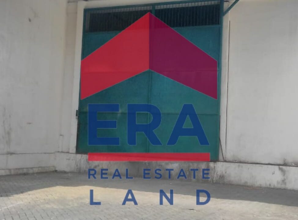 WhatsApp Image 2022-02-22 at 18.43.13 (1)