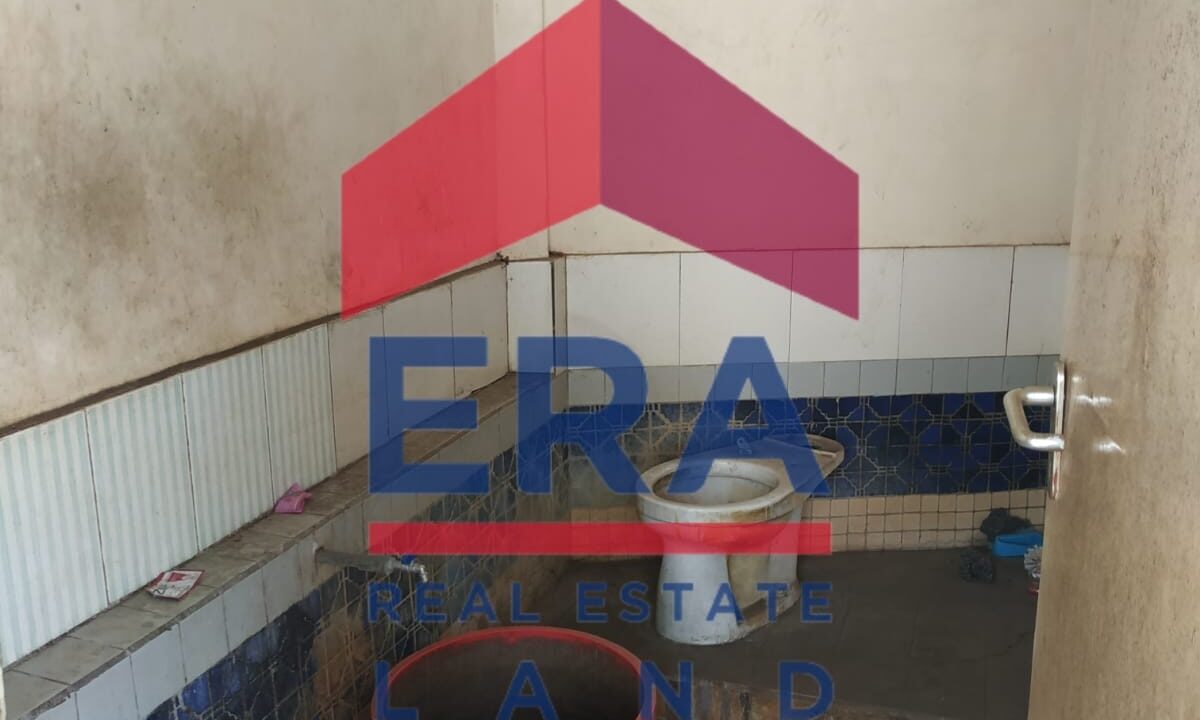 WhatsApp Image 2022-02-22 at 18.43.13