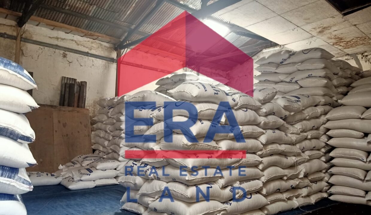 WhatsApp Image 2022-02-23 at 16.57.19