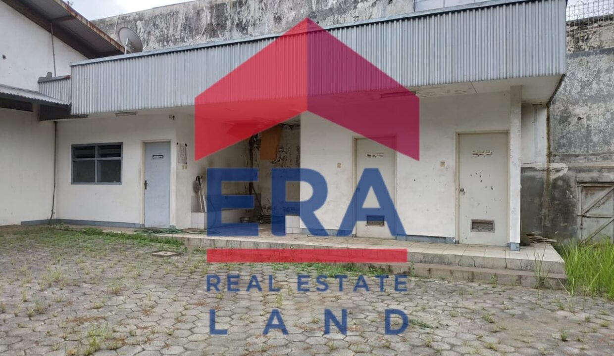 WhatsApp Image 2022-02-28 at 18.19.02