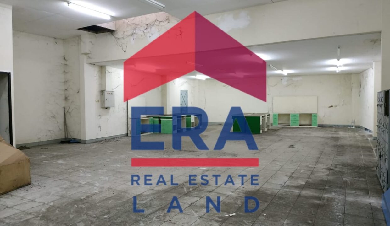 WhatsApp Image 2022-02-28 at 18.19.07 (1)