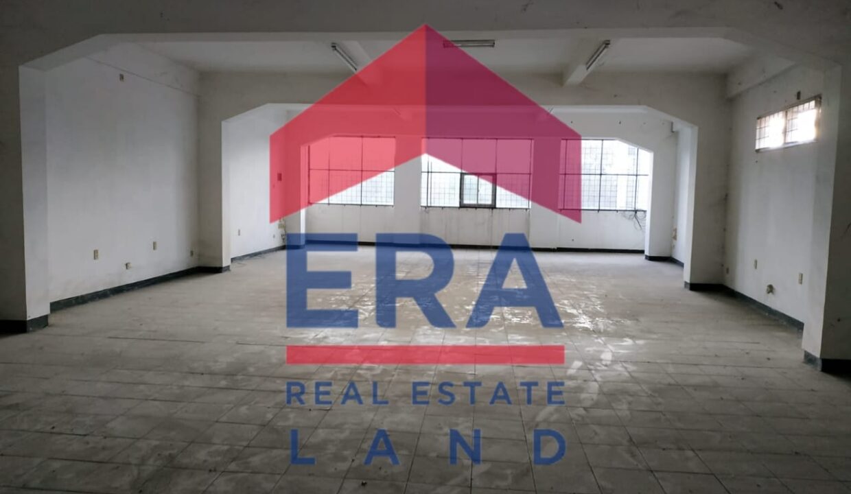 WhatsApp Image 2022-02-28 at 18.19.07