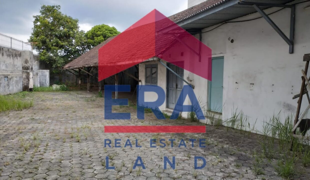 WhatsApp Image 2022-02-28 at 18.19.08 (1)