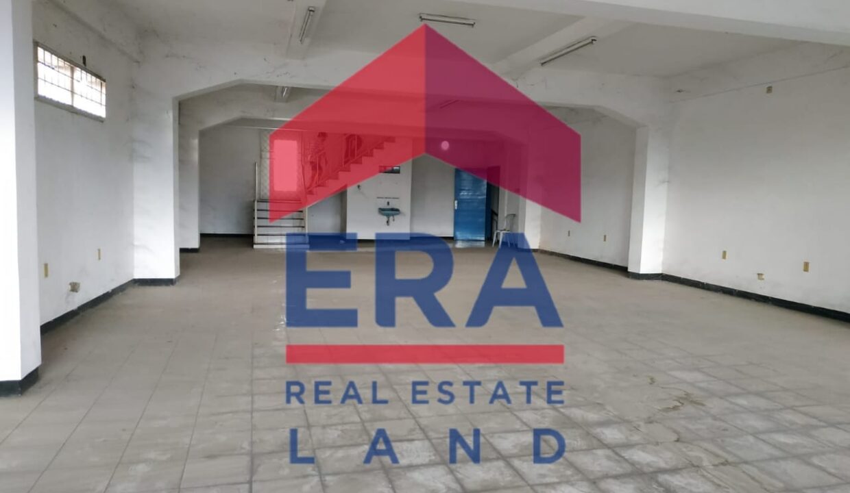 WhatsApp Image 2022-02-28 at 18.19.08