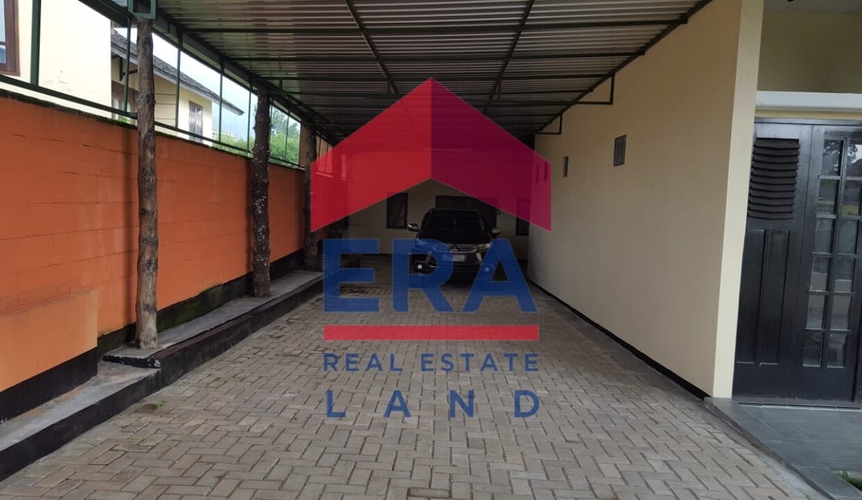 WhatsApp Image 2022-03-03 at 20.57.04 (1)