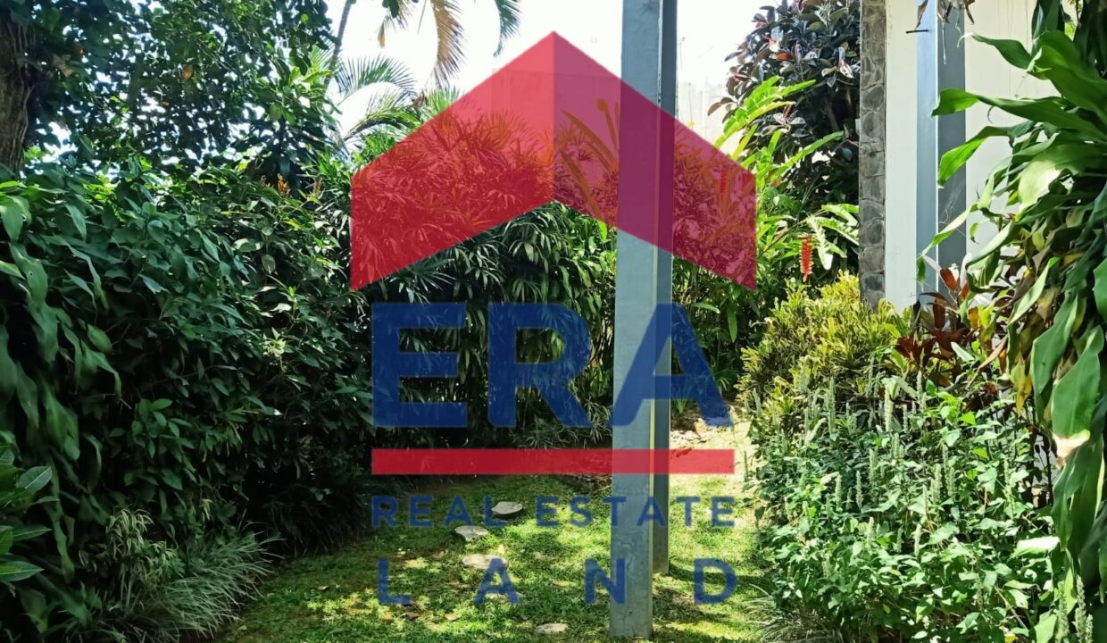 WhatsApp Image 2022-03-04 at 19.17.05