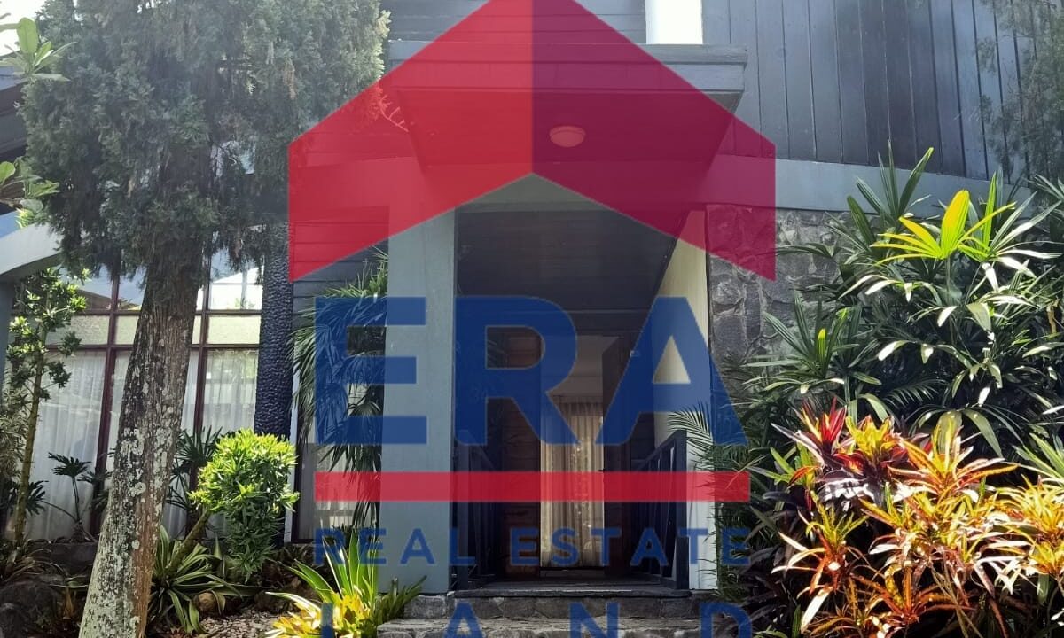 WhatsApp Image 2022-03-04 at 19.17.06