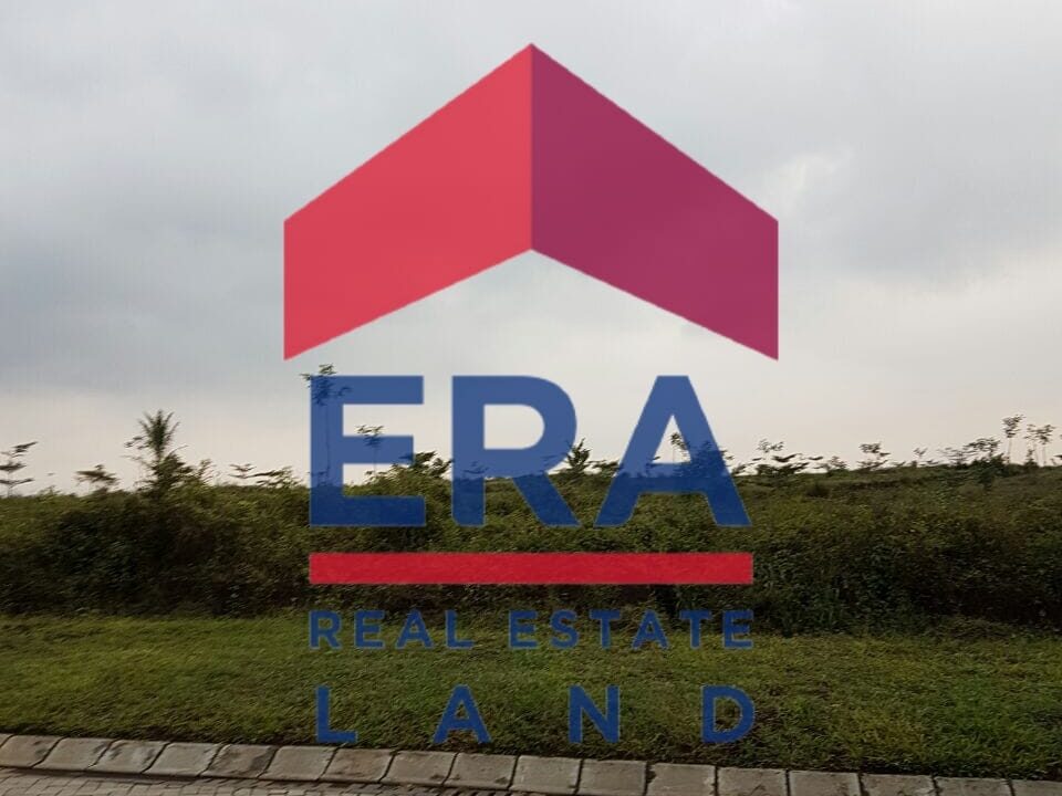 WhatsApp Image 2022-03-08 at 16.31.00