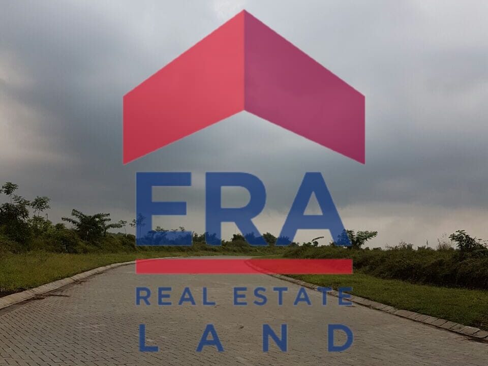 WhatsApp Image 2022-03-08 at 16.31.01 (2)