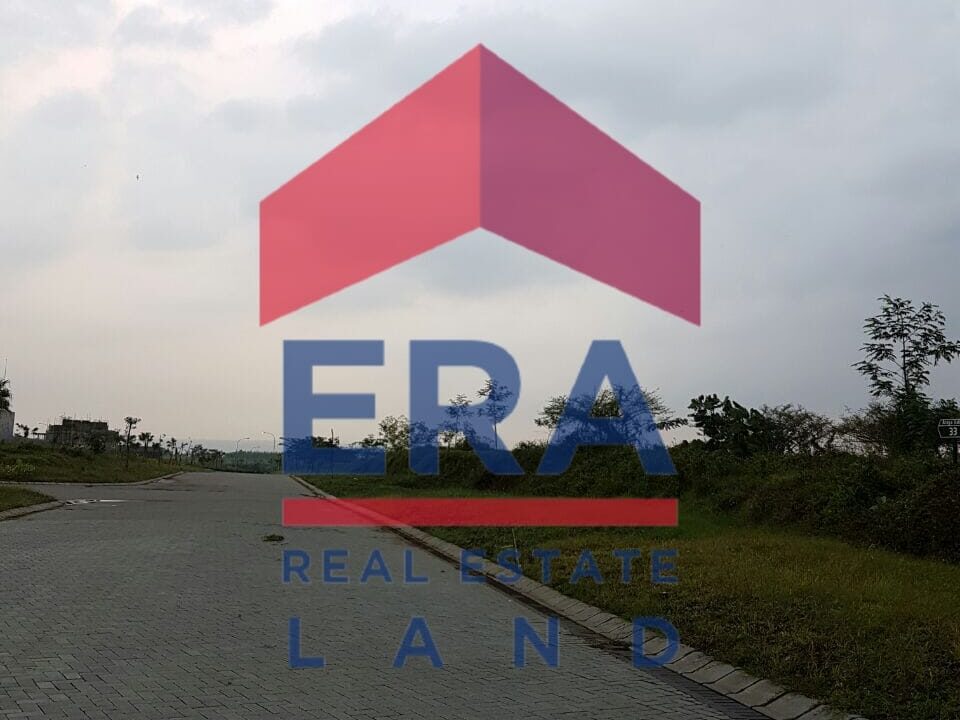 WhatsApp Image 2022-03-08 at 16.31.01