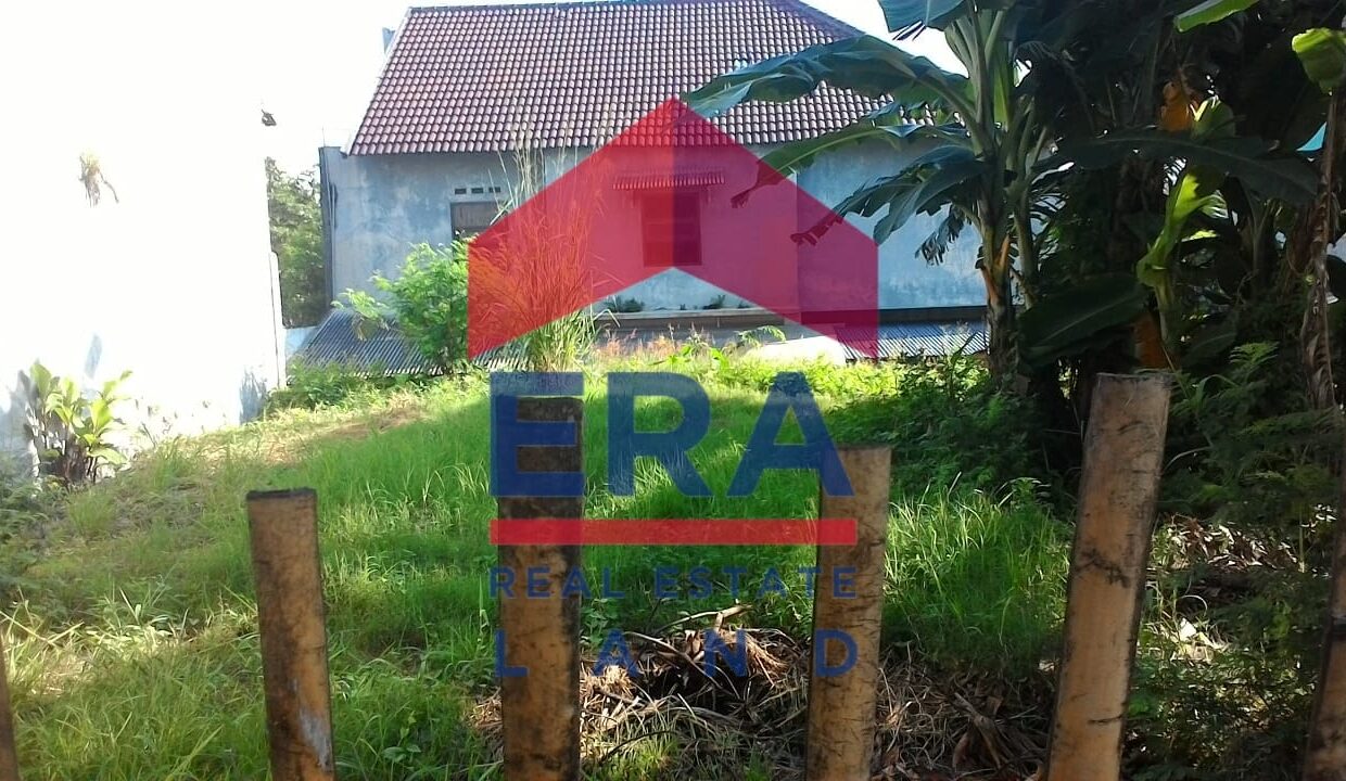 WhatsApp Image 2022-03-08 at 17.00.44 (2)