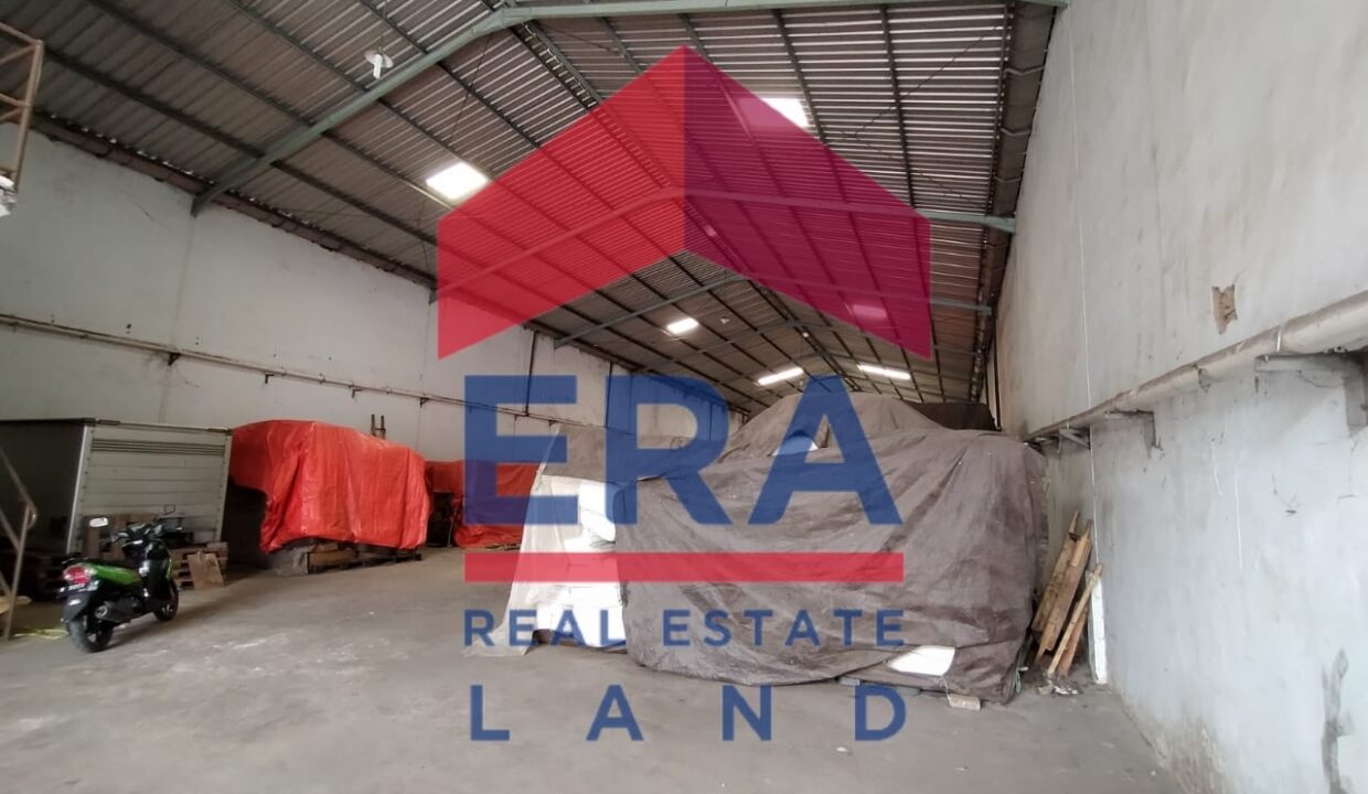 WhatsApp Image 2022-02-20 at 03.00.57